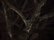 Jump to image if you click