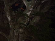 Jump to image if you click